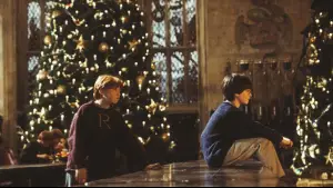 Задник до фильму"Гаррі Поттер і філософський камінь" #528316