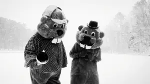 Задник до фильму"Hundreds of Beavers" #756229