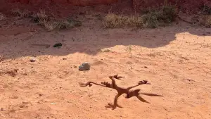 Задник до фильму"" #627554