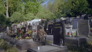 Задник до фильму"" #729975