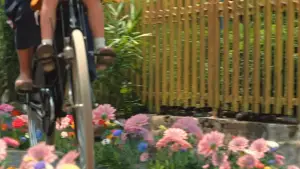 Задник до фильму"Na Willa" #763662