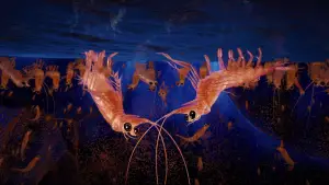 Задник до фильму"Веселі ніжки 2" #725486