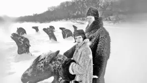 Задник до фильму"Мій Вінніпег" #643547