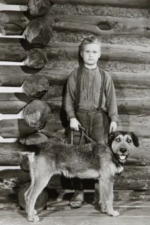 Постер до фильму"Шейн" #217405