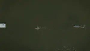 Задник до фильму"Ікс" #169789