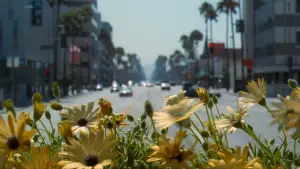 Задник до фильму"Адаптація." #671069