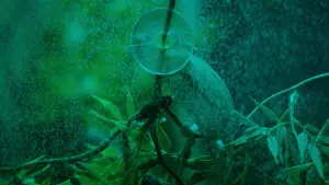 Задник до фильму"" #197063