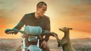 Задник до фильму"" #600716