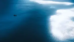 Задник до фильму"Кінг Конг" #619962