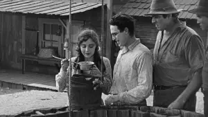 Задник до фильму"The Kid Brother" #768023