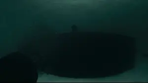 Задник до фильму"Операція "Чорний кейс"" #570236