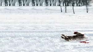 Задник до фильму"Поворот не туди 4: Кривавий початок" #313681