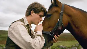 Задник до фильму"Бойовий кінь" #394080