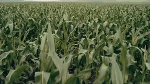 Задник до фильму"Інтерстеллар" #797367