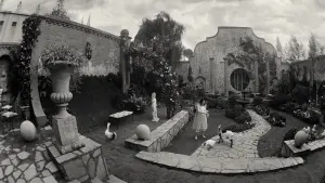 Задник до фильму"Бідолашні створіння" #160963