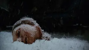 Задник до фильму"Чорне Різдво" #345800