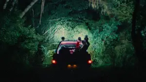 Задник до фильму"" #664039