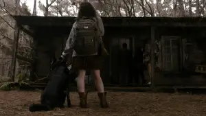 Задник до фильму"Зловісні мерці" #642942