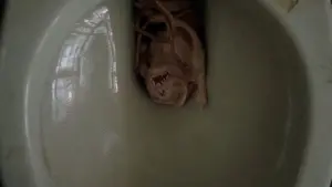 Задник до фильму"Амулет" #462398