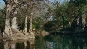 Задник до фильму"" #357649