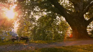 Задник до фильму"Життя Адель" #240774