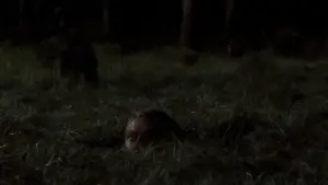 Задник до фильму"Велика втеча" #751815