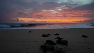 Задник до фильму"" #543133