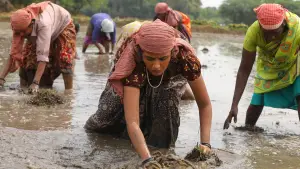 Задник до фильму"பைசன் காளமாடன்" #786341