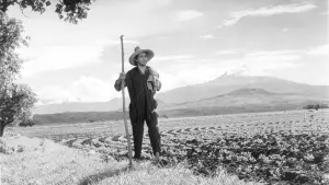 Задник до фильму"" #459705