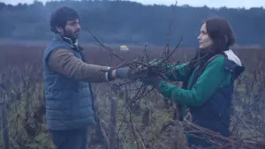 Задник до фильму"Що нас пов