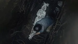 Задник до фильму"" #630886