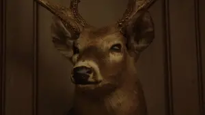 Задник до фильму"Пастка" #580701