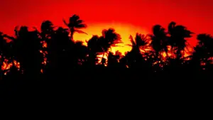 Задник до фильму"Парк Юрського періоду" #598001