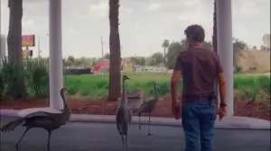 Задник до фильму"Проект «Флорида»" #709846