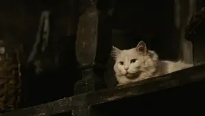 Задник до фильму"Парфумер: Історія одного вбивці" #630920