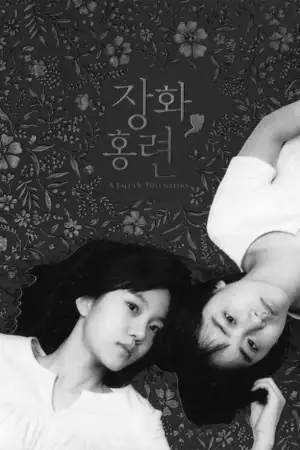 Постер до фильму"Історія двох сестер" #811012