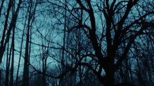 Задник до фильму"Тіло Дженніфер" #664249