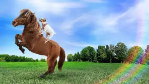 Задник до фильму"Пригоди Доллі та Спанкі" #798937