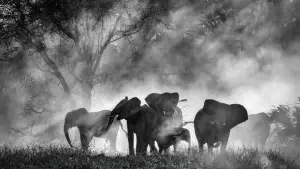 Задник до фильму"" #670882