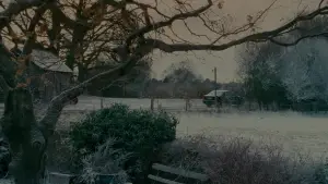 Задник до фильму"Відпочинок за обміном" #805263