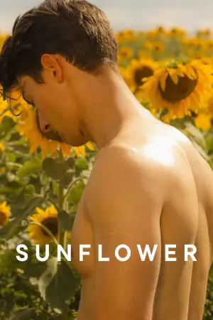 Постер до фильму"Sunflower" #820120