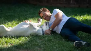 Задник до фильму"Загублений пес" #384463