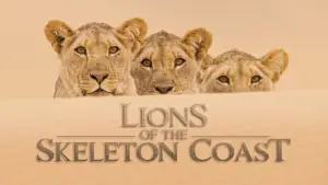 Задник до фильму"Lions of the Skeleton Coast" #880744