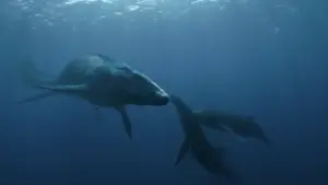 Задник до фильму"Світ Юрського періоду 3: Домініон" #565083