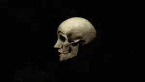 Задник до фильму"Привиди у Венеції" #266564