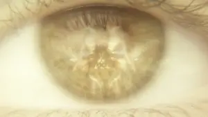 Задник до фильму"Ґодзілла та Конґ: Нова імперія" #565520