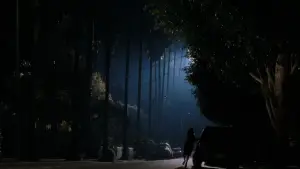 Задник до фильму"Малголланд Драйв" #608793