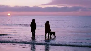 Задник до фильму"Субмарина" #701544