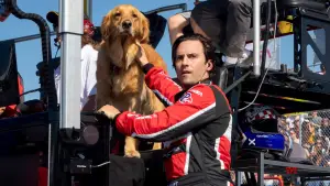 Задник до фильму"Очима собаки" #716550