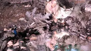 Задник до фильму"Віслюча шкура" #812105